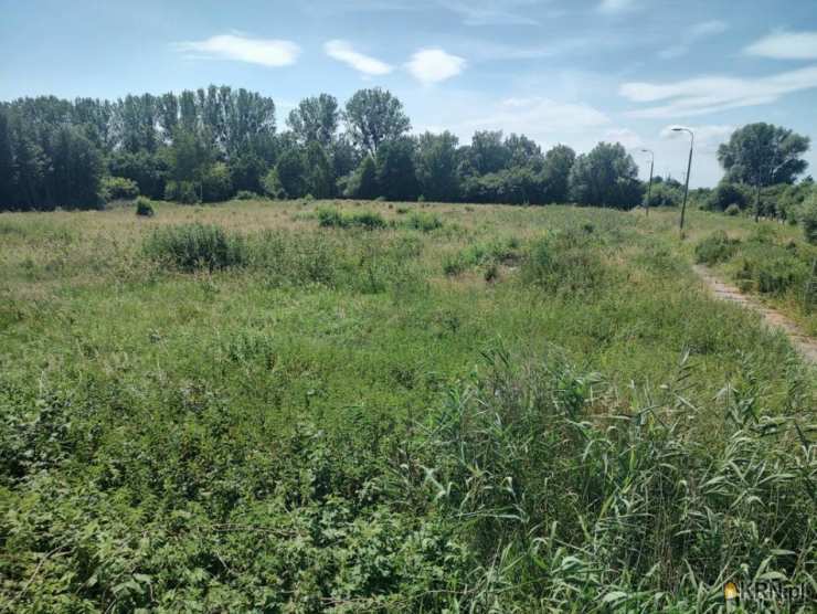 Działki  na sprzedaż, Gronowo Górne, ul. , 