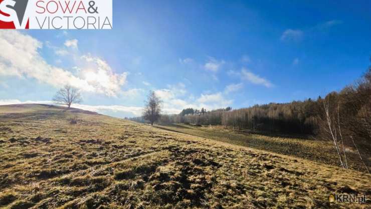 Zagórze Śląskie, ul. , Działki  na sprzedaż, 