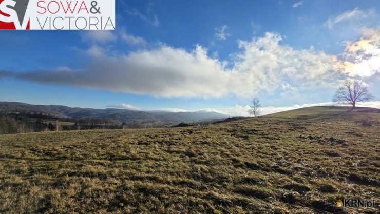 , Działki  na sprzedaż, Zagórze Śląskie, ul. 