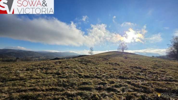 Działki  na sprzedaż, Zagórze Śląskie, ul. , 