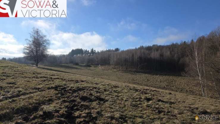 Działki  na sprzedaż, , Zagórze Śląskie, ul. 