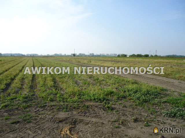 Działki  na sprzedaż, Chlebnia, ul. , 