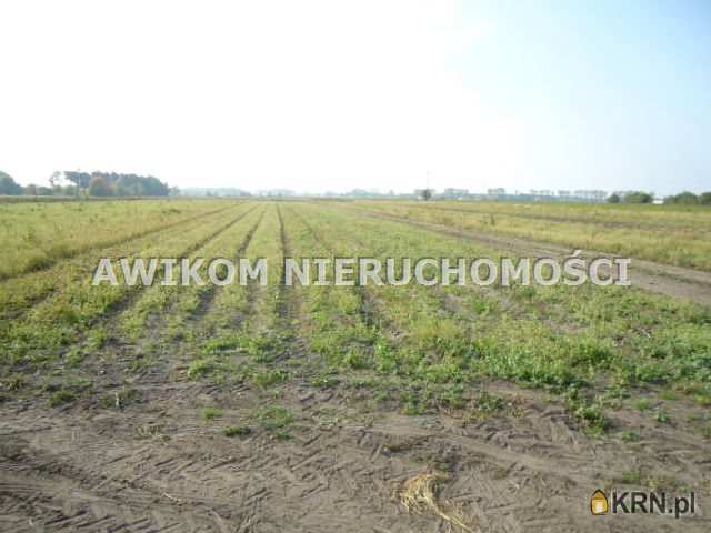 Działki  na sprzedaż, , Chlebnia, ul. 