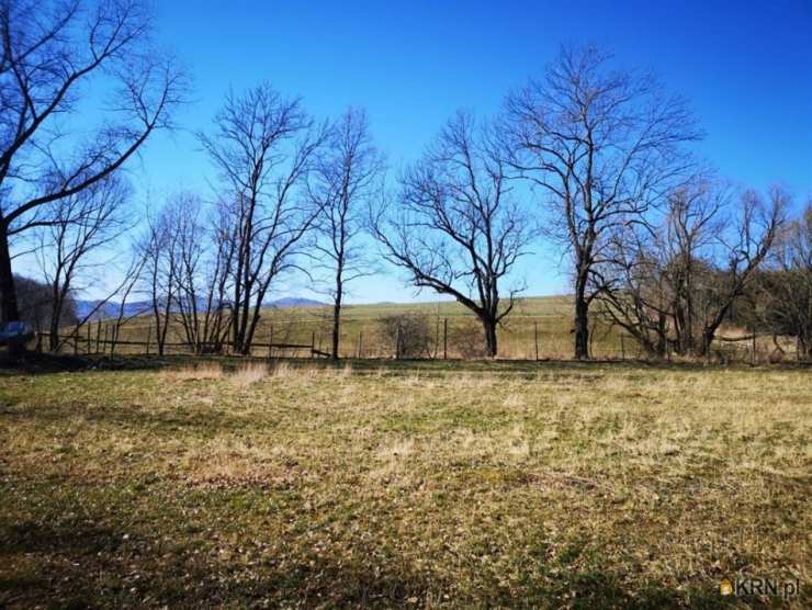 Biuro Nieruchomości SOWA, Działki  na sprzedaż, Bolków, ul. 