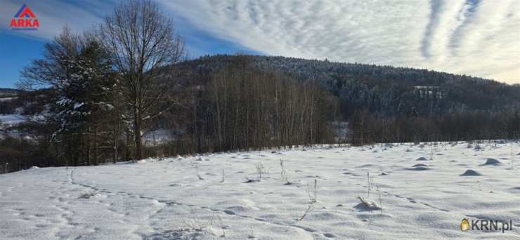 Jurków, ul. , Działki  na sprzedaż, 