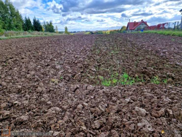 Działki  na sprzedaż, , Łuczyce, ul. 