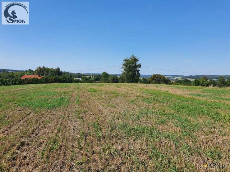 Działki  na sprzedaż, Sułkowice, ul. , 