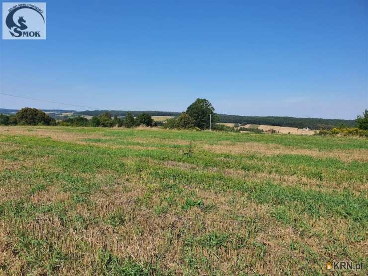 Działki  na sprzedaż, , Sułkowice, ul. 