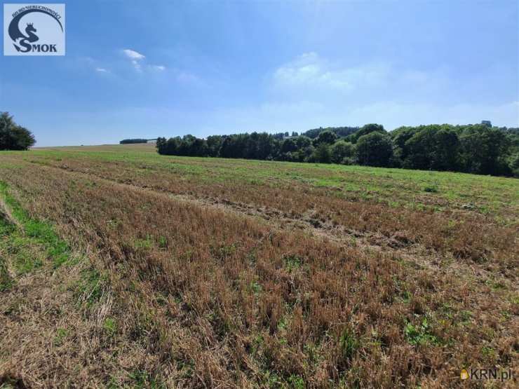 Sułkowice, ul. , Działki  na sprzedaż, 