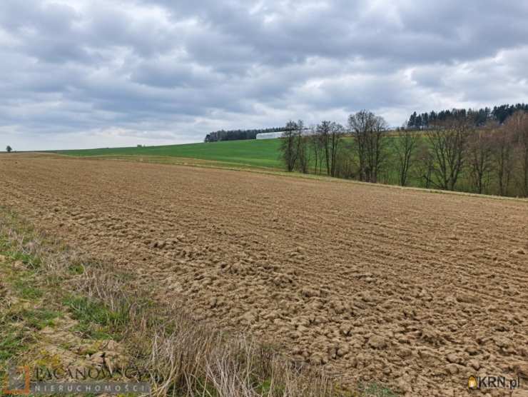 , Działki  na sprzedaż, Sułkowice, ul. 