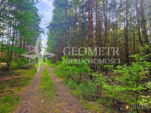 Trzciany, ul. , Działki  na sprzedaż, 