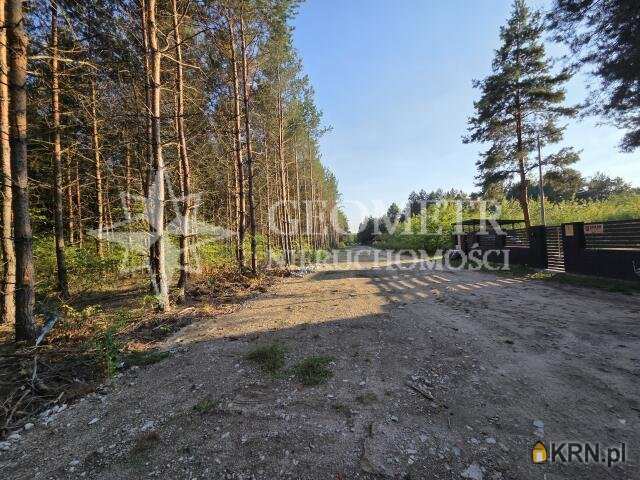 Działki  na sprzedaż, , Trzciany, ul. Leśna