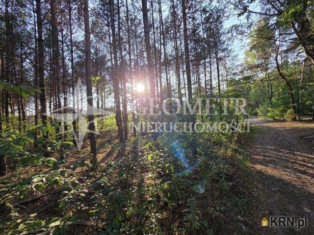 , Trzciany, ul. Leśna, Działki  na sprzedaż