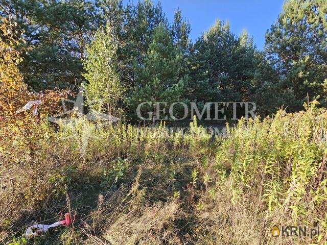 Działki  na sprzedaż, Trzciany, ul. , 