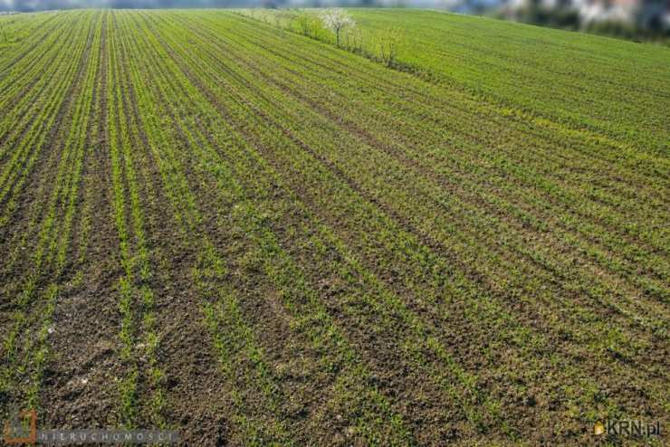 Działki  na sprzedaż, Kraków, Prądnik Biały/Tonie, ul. , 