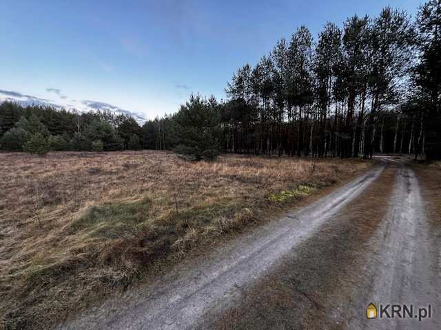 Działki  na sprzedaż, Cierpice, ul. , 