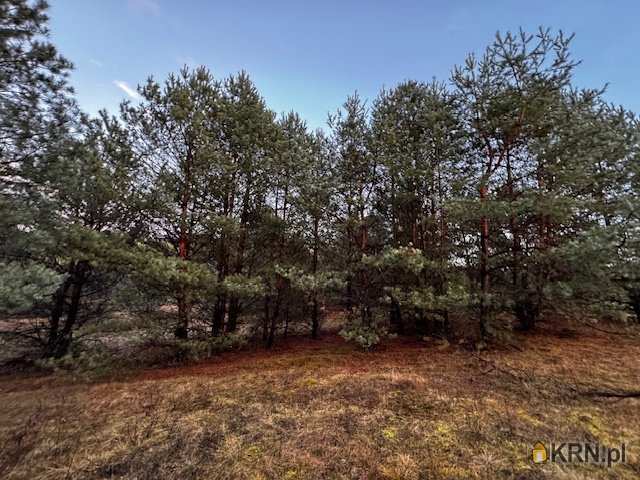 Działki  na sprzedaż, , Cierpice, ul. 