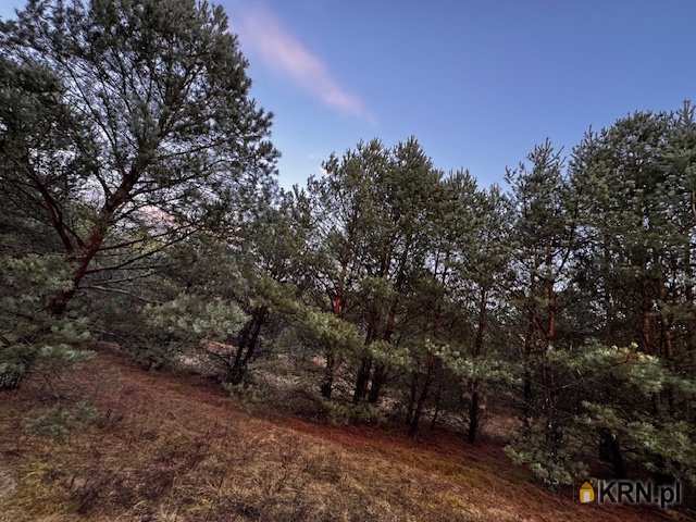 , Cierpice, ul. , Działki  na sprzedaż