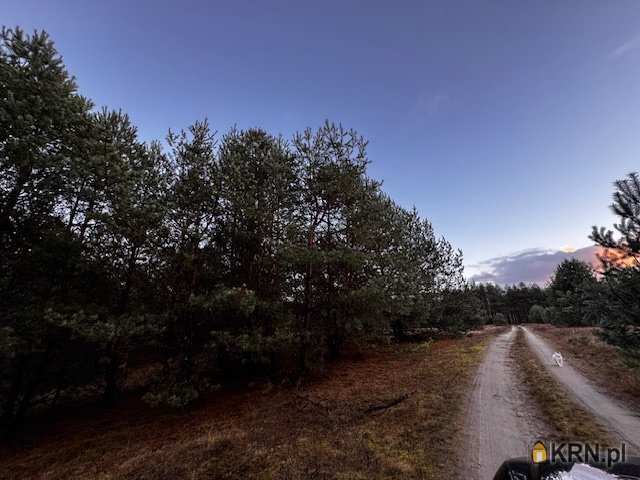 , Działki  na sprzedaż, Cierpice, ul. 