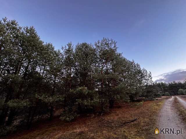 Forum Nieruchomości, Działki  na sprzedaż, Cierpice, ul. 