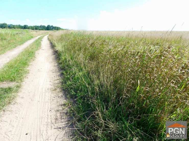 Działki  na sprzedaż, Trzebiatów, ul. , 