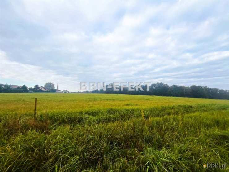 Bielskie Biuro Nieruchomości EFEKT- Krzysztof Filipek , Działki  na sprzedaż, Bestwina, ul. 