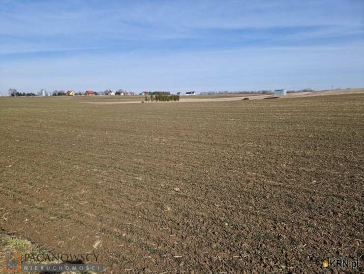 Sieciechowice, ul. , Działki  na sprzedaż, 