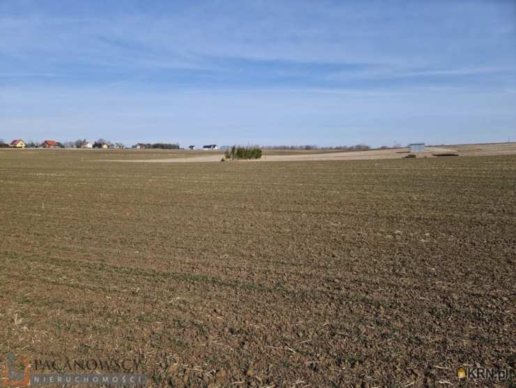 Działki  na sprzedaż, , Sieciechowice, ul. 