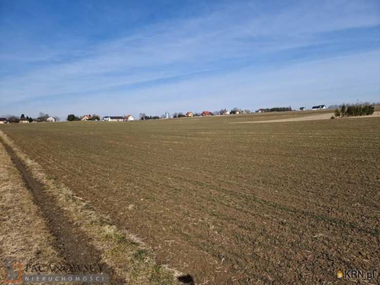 Sieciechowice, ul. , Działki  na sprzedaż, 