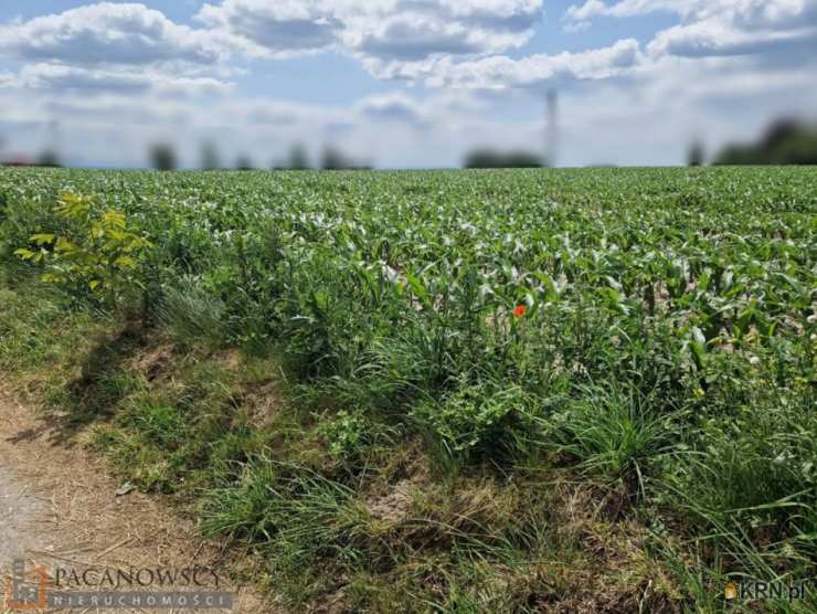 Działki  na sprzedaż, Dojazdów, ul. , 