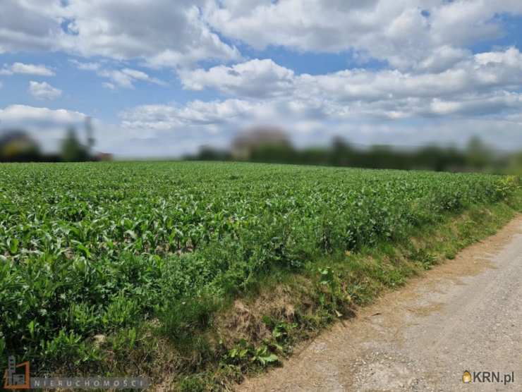 Działki  na sprzedaż, , Dojazdów, ul. 