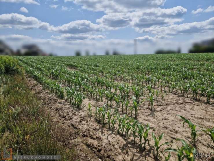 Dojazdów, ul. , Działki  na sprzedaż, 