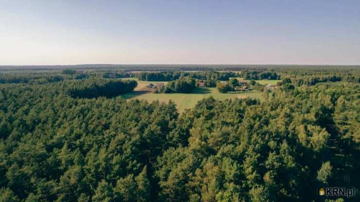 Działki  na sprzedaż, , Skrzynka, ul. 