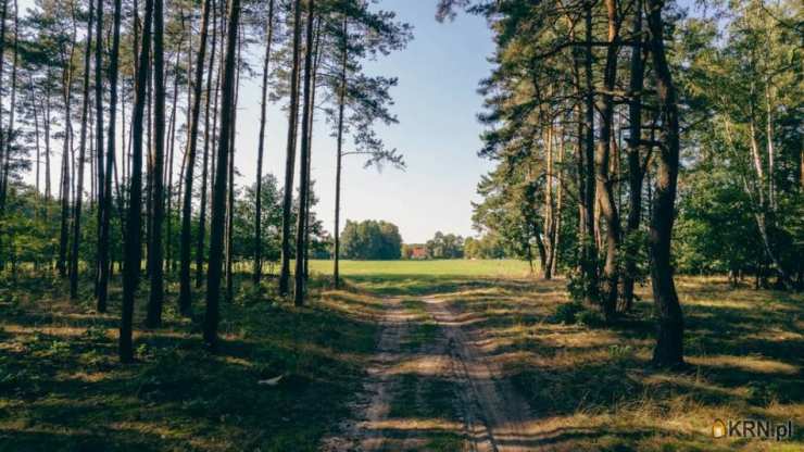 Skrzynka, ul. , Działki  na sprzedaż, 
