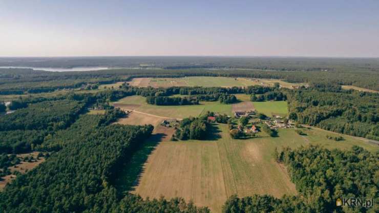 Działki  na sprzedaż, Skrzynka, ul. , 