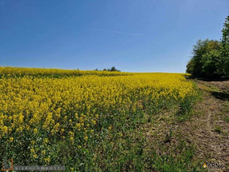 Działki  na sprzedaż, , Sułkowice, ul. 