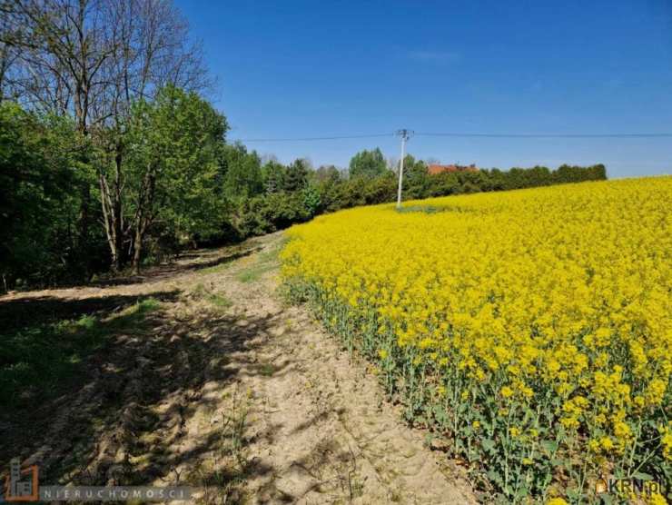 Sułkowice, ul. , Działki  na sprzedaż, 