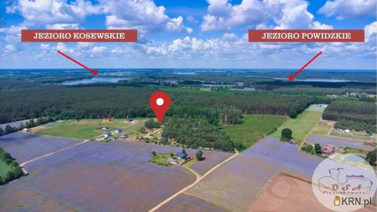 Działki  na sprzedaż, Skrzynka, ul. , 