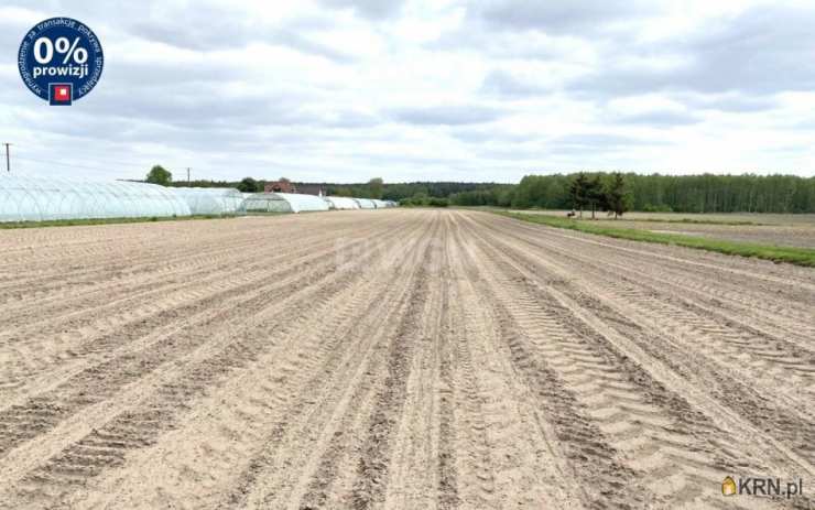 Kuśnierz, ul. , Działki  na sprzedaż, 