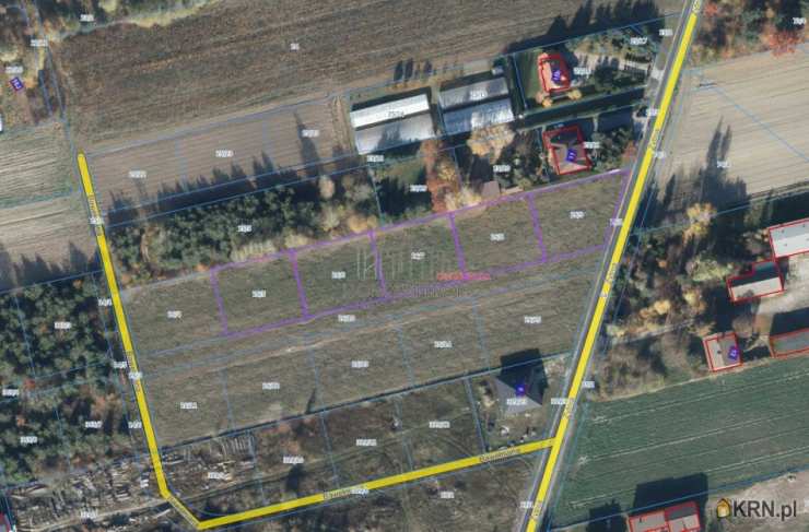 Lesznowola, Lesznowola-Pole, ul. Żytnia, , Działki  na sprzedaż
