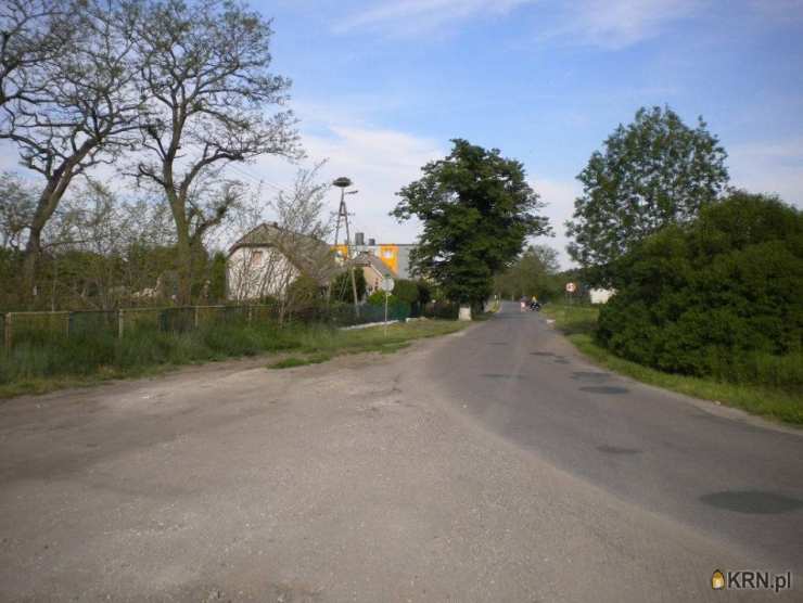 Piła, Górne/Droga Kotuńska, ul. , Działki  do wynajęcia, 