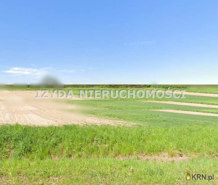 Działki  na sprzedaż, Borzygniew, ul. , 