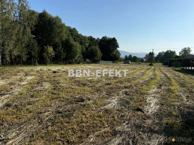 Buczkowice, ul. , Działki  na sprzedaż, 