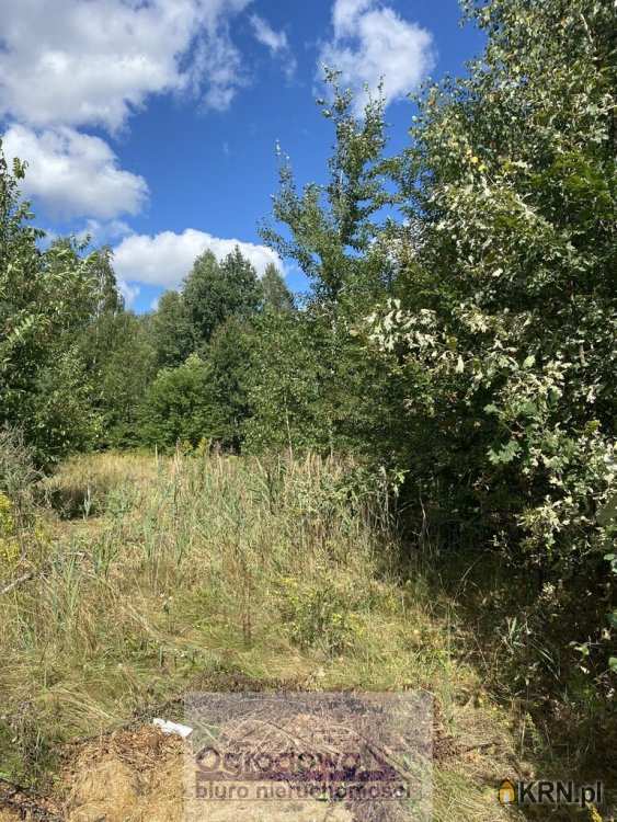 Działki  na sprzedaż, Leontyna, ul. , 