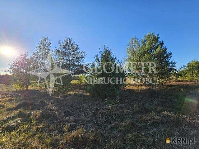 Trzciany, ul. , , Działki  na sprzedaż