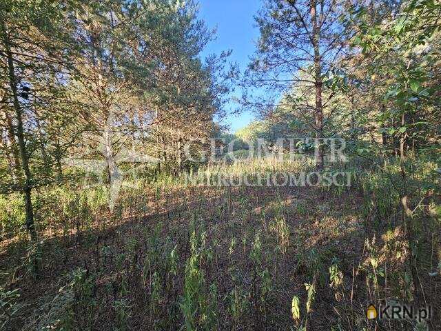 GEOMETR NIERUCHOMOŚCI, Działki  na sprzedaż, Trzciany, ul. 