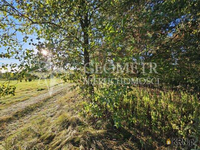 Działki  na sprzedaż, Trzciany, ul. , 