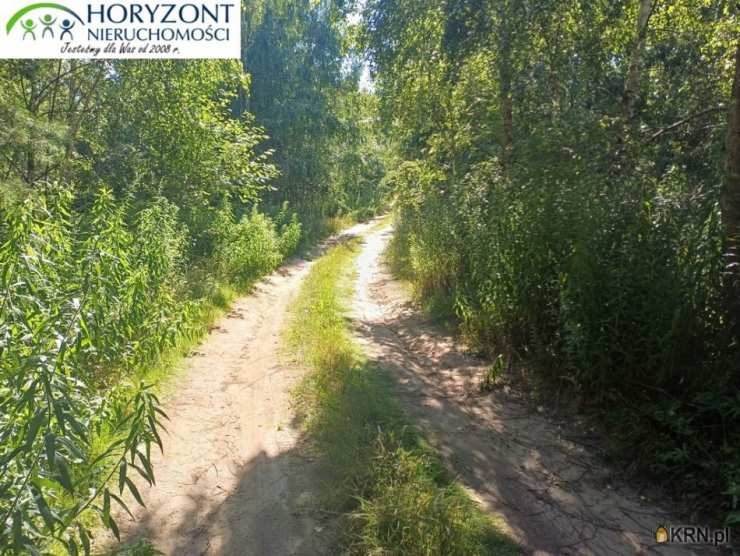 Działki  na sprzedaż, Borzestowo, ul. , 