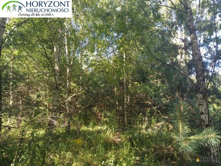 , Działki  na sprzedaż, Borzestowo, ul. 