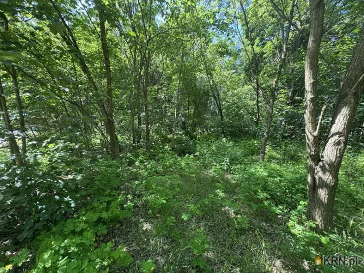 Działki  na sprzedaż, Poznań, Stare Miasto, ul. Naramowicka, 